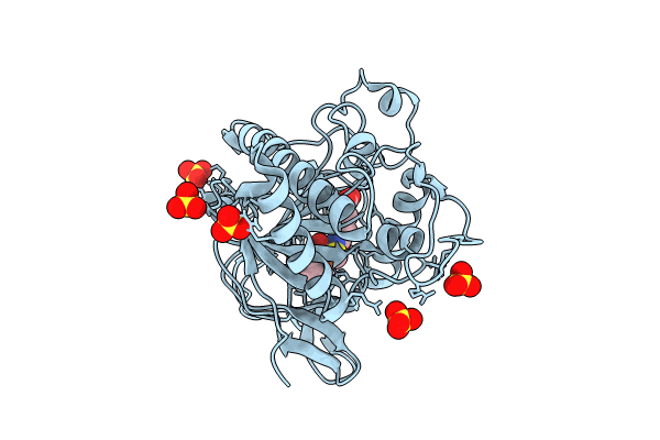 8BSW image