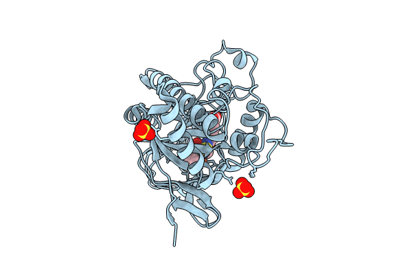8BSY image