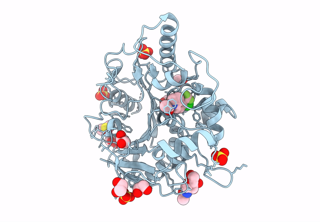 8BT2 image