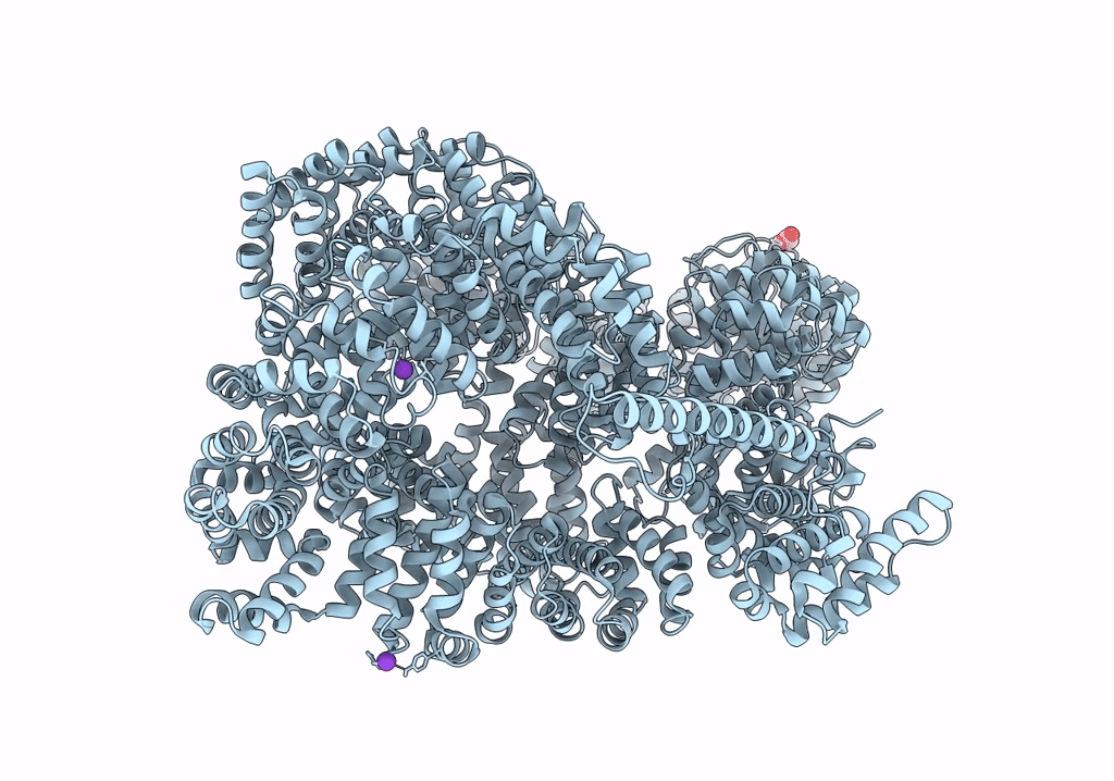 8BT6 image