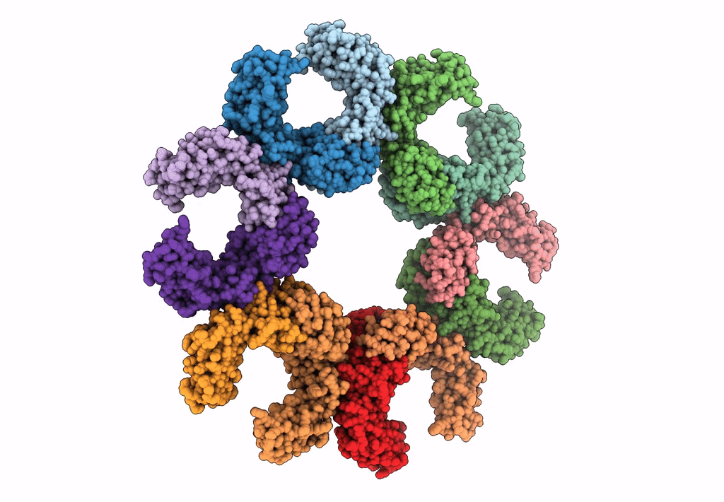 8BTB image
