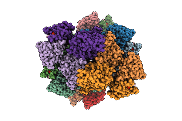 8BTP image
