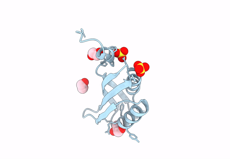 8BV9 image