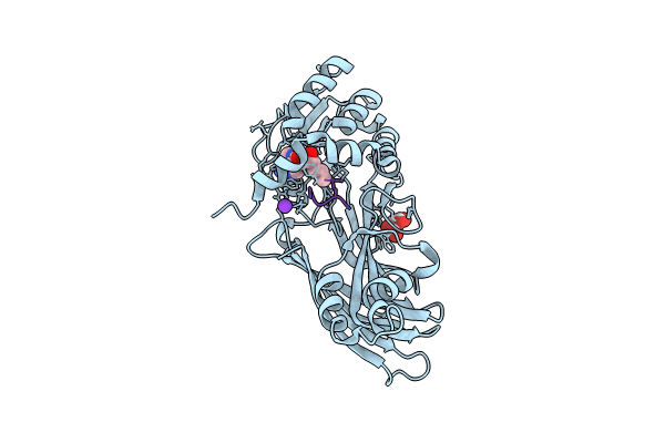 8BVA image
