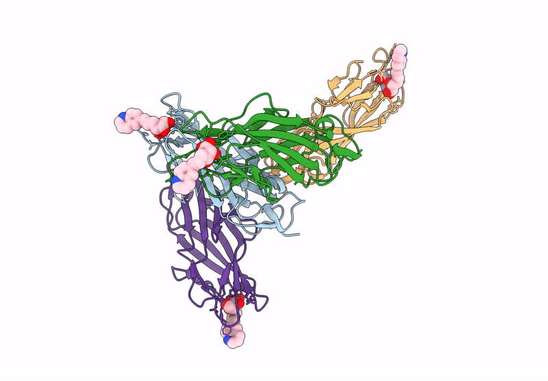 8BVD image