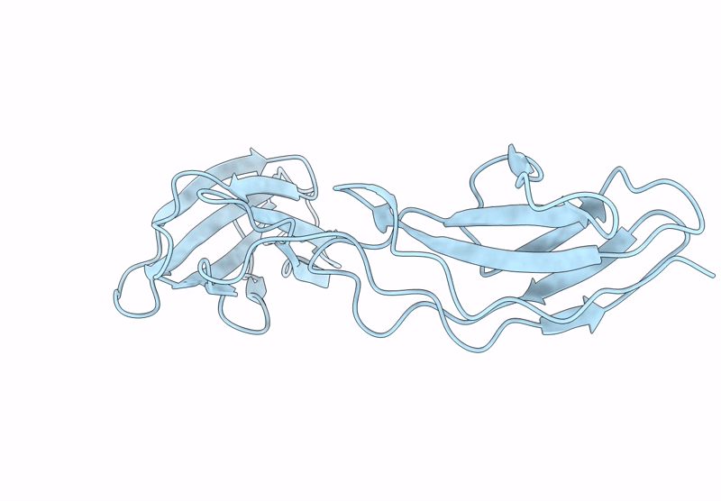 8BVO image