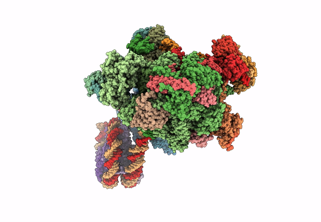 8BVW image