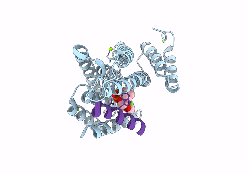 8BWH image