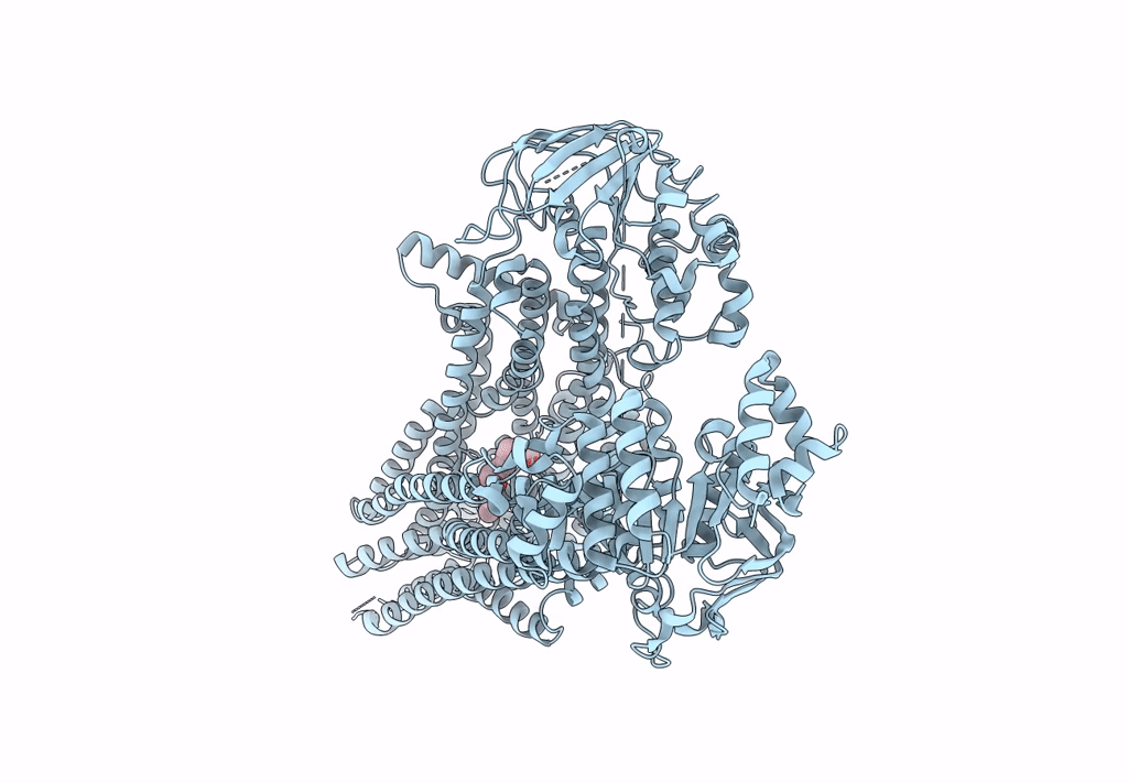 8BWR image