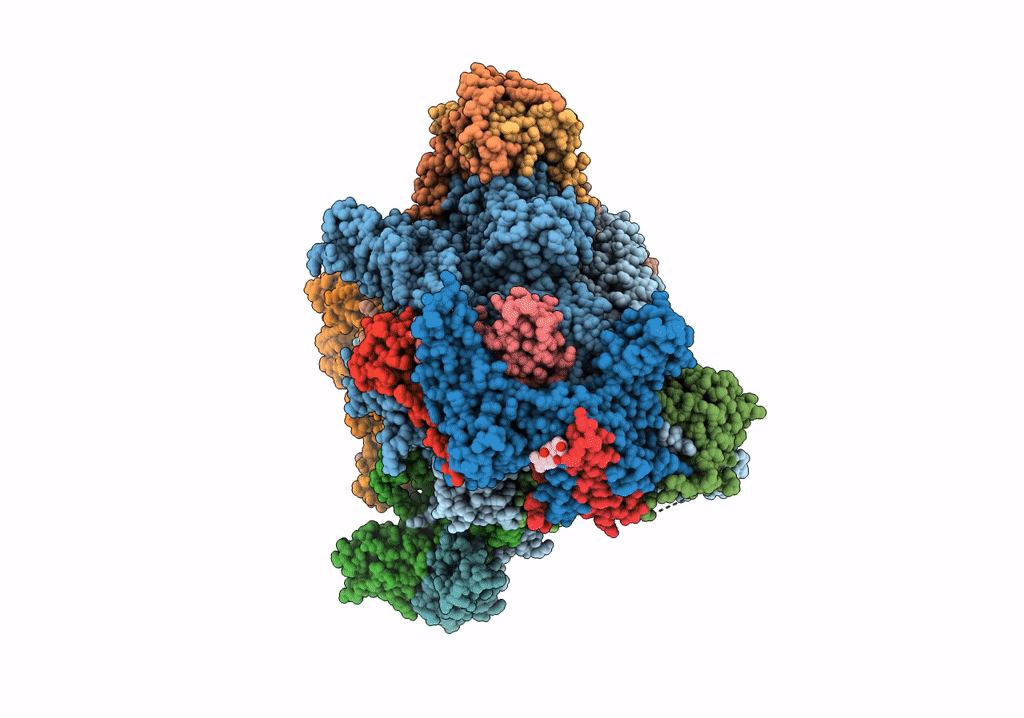 8BWS image