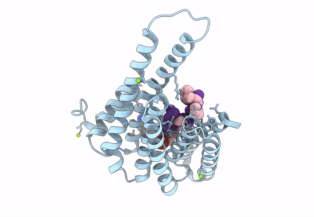 8BX3 image