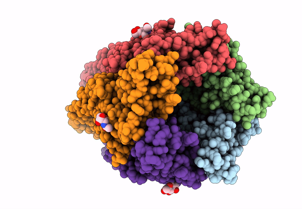 8BX5 image