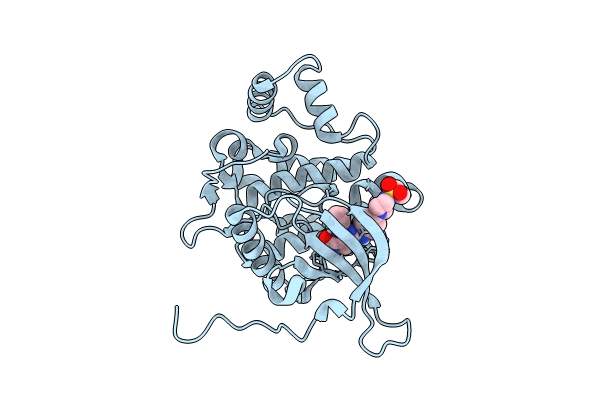 8BX6 image