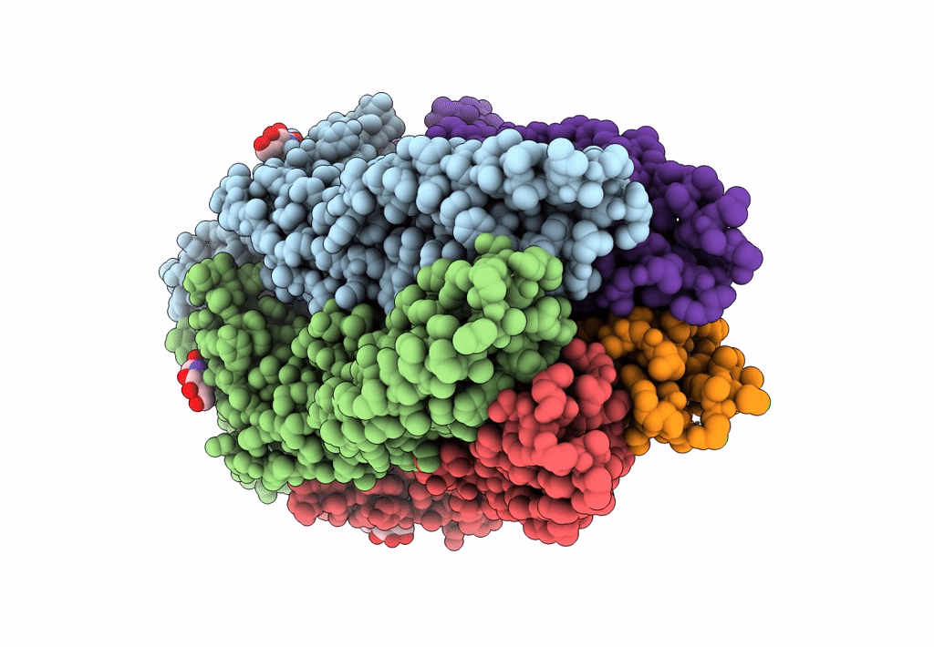 8BXF image