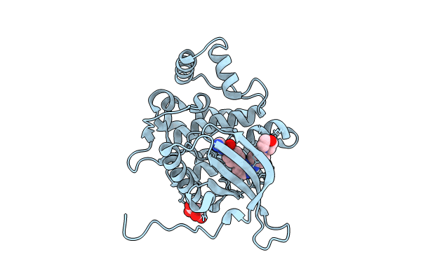 8BXH image