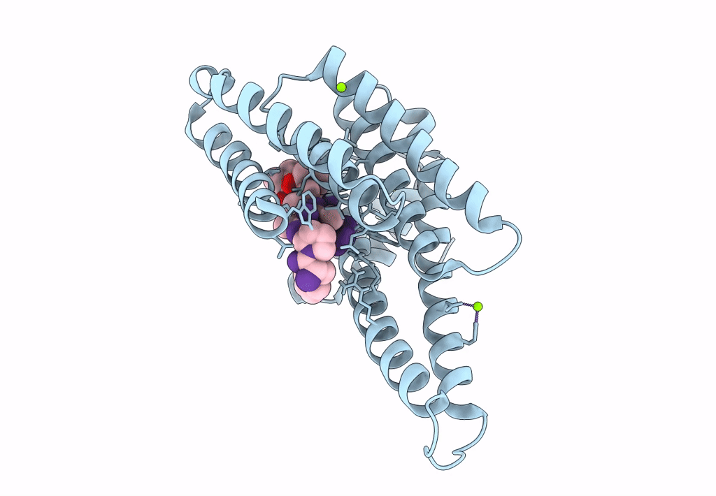 8BXI image