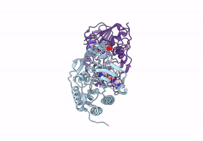 8BXK image