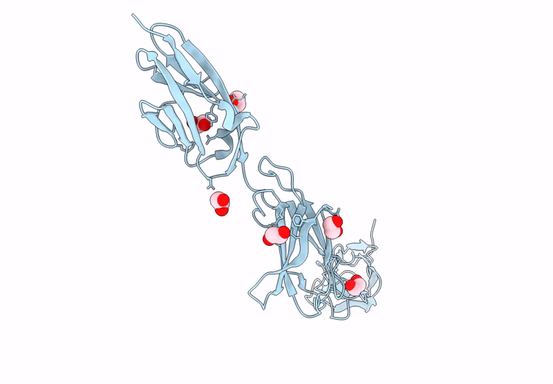 8BXR image