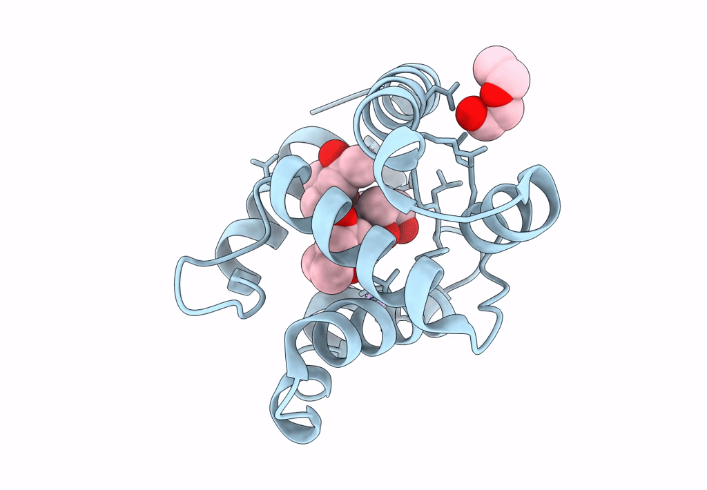 8BXU image