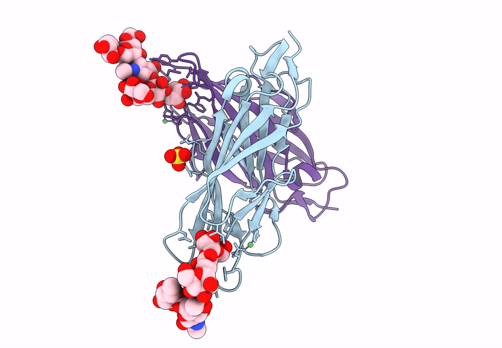 8BXY image