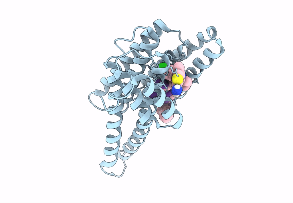 8BYB image
