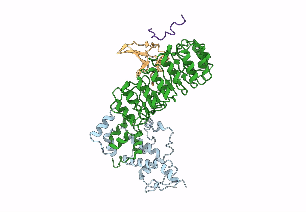 8BYL image