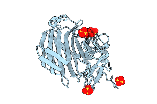 8BZK image