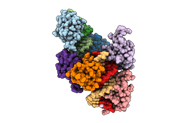 8BZM image