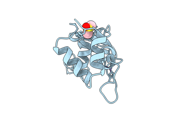 8BZN image