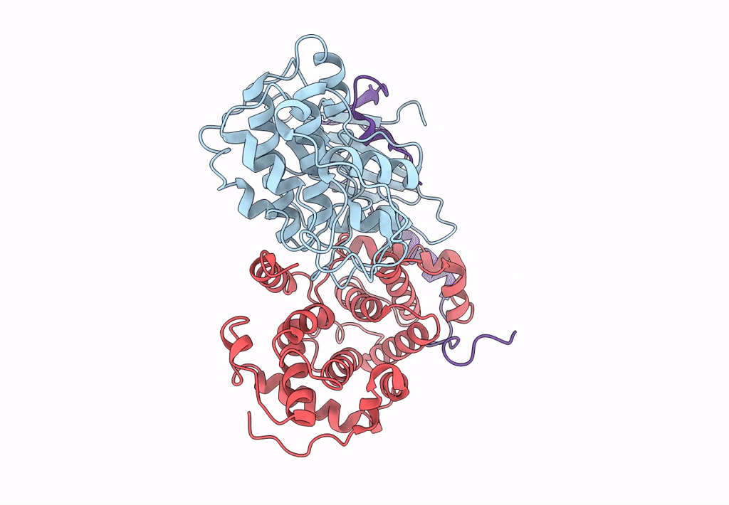 8BZO image