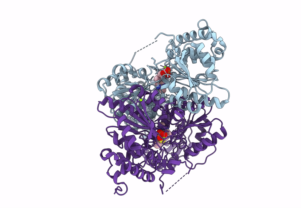 8BZX image