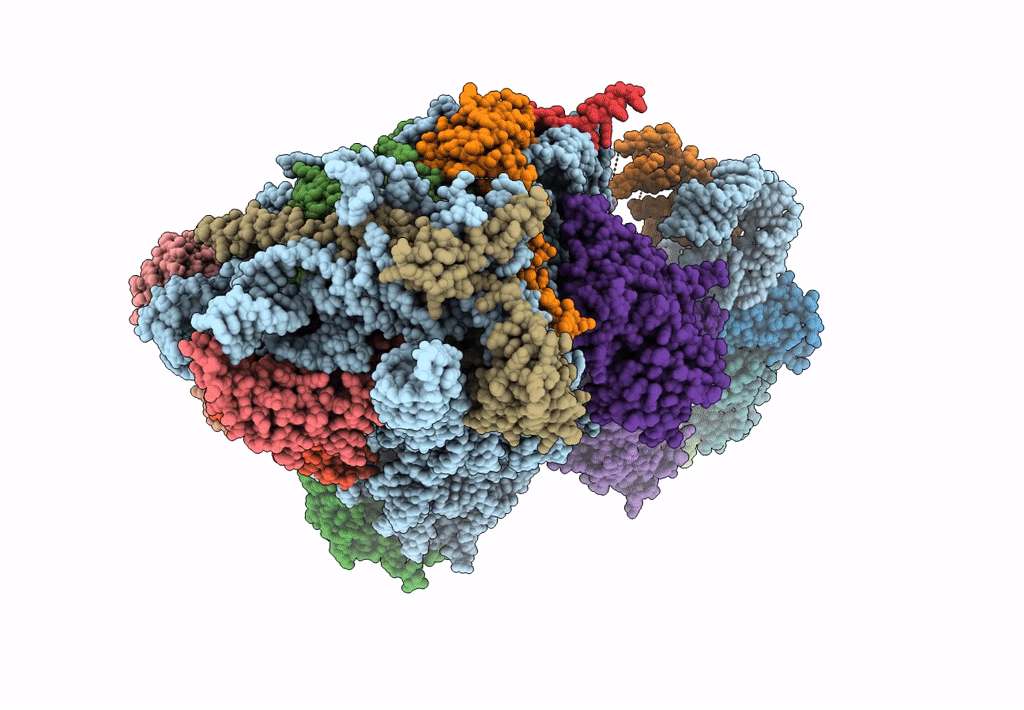 8C00 image