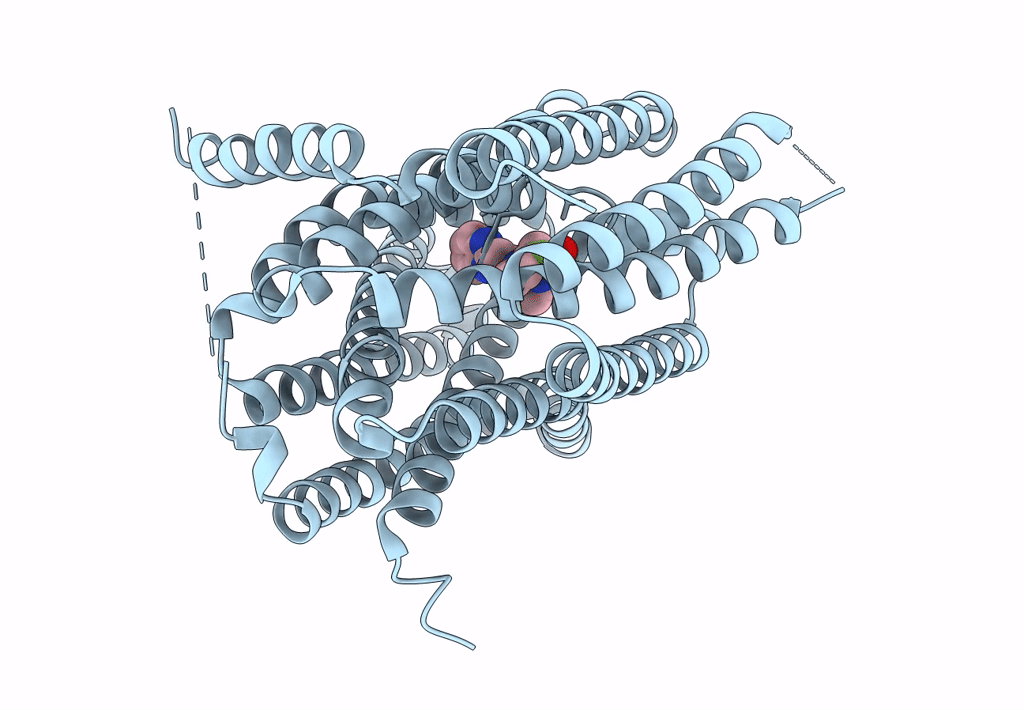 8C03 image