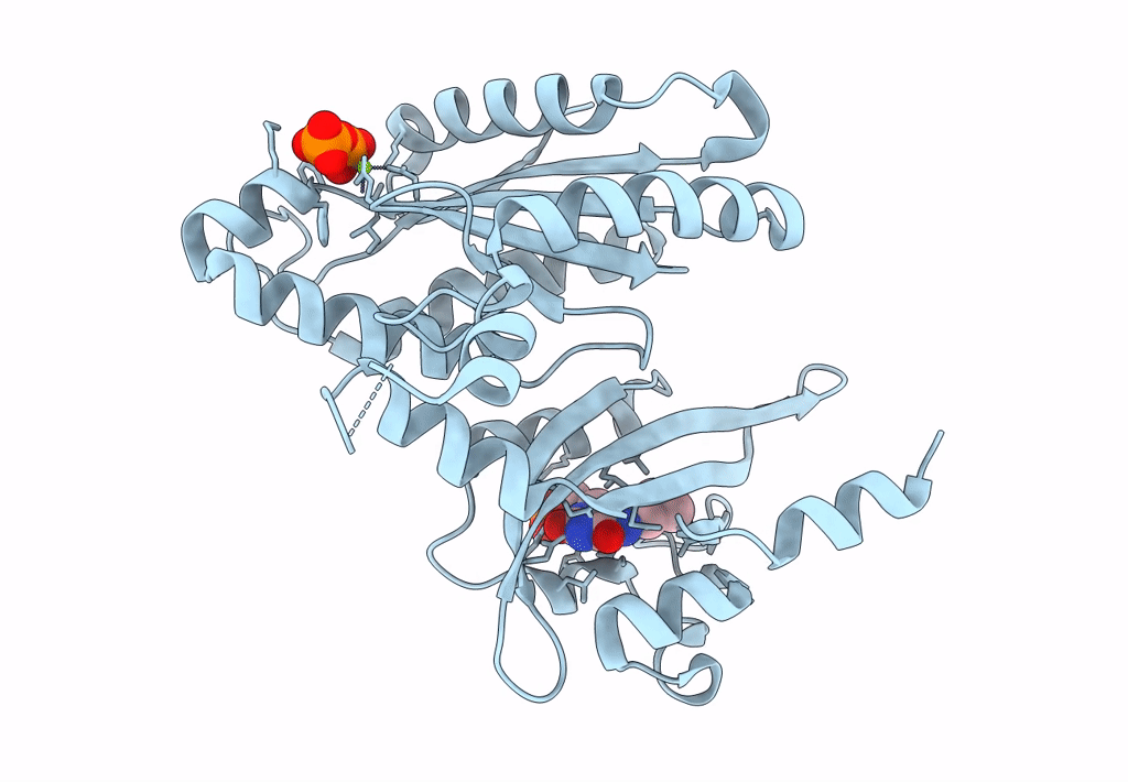 8C05 image