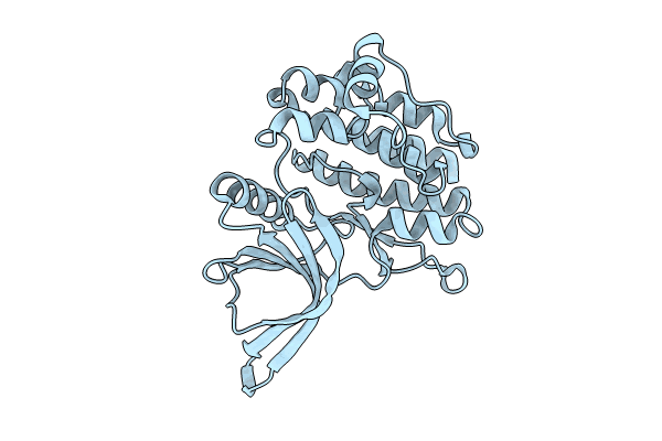 8C09 image