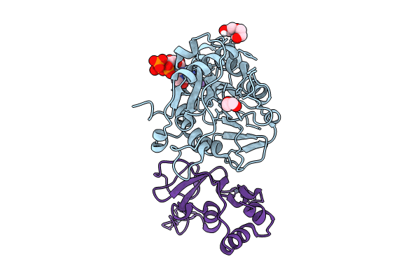 8C0G image