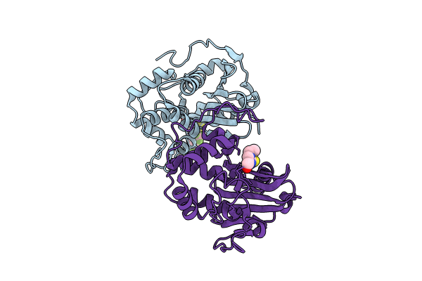 8C0S image