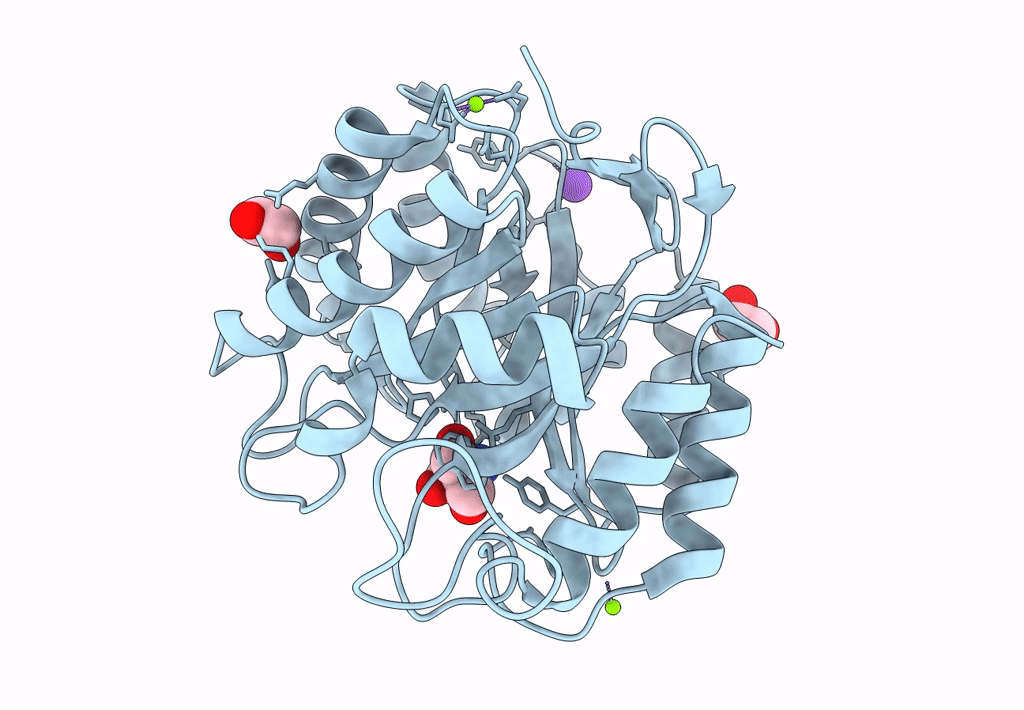 8C10 image
