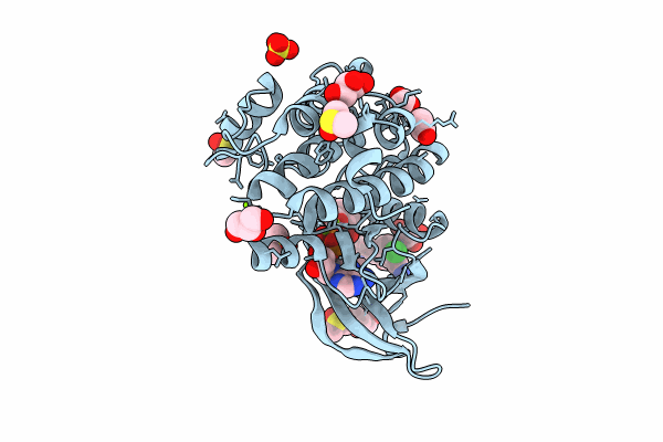 8C14 image