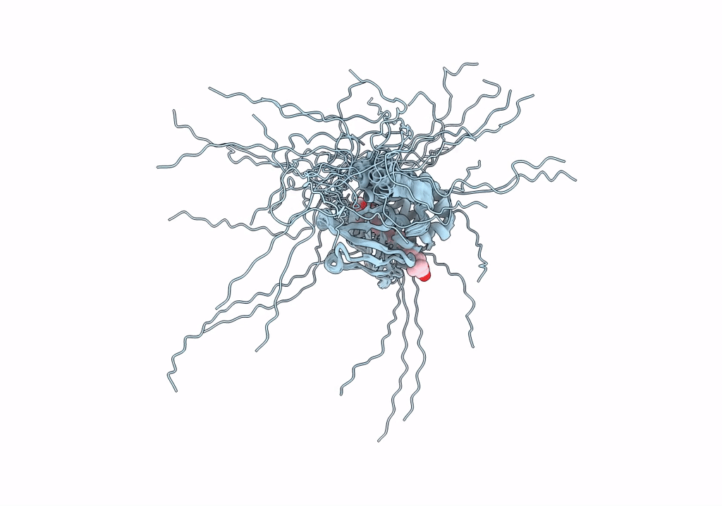 8C18 image