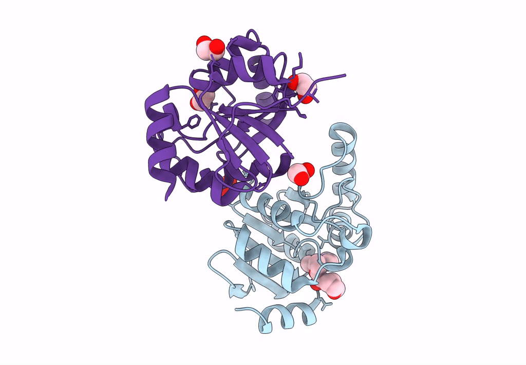 8C19 image