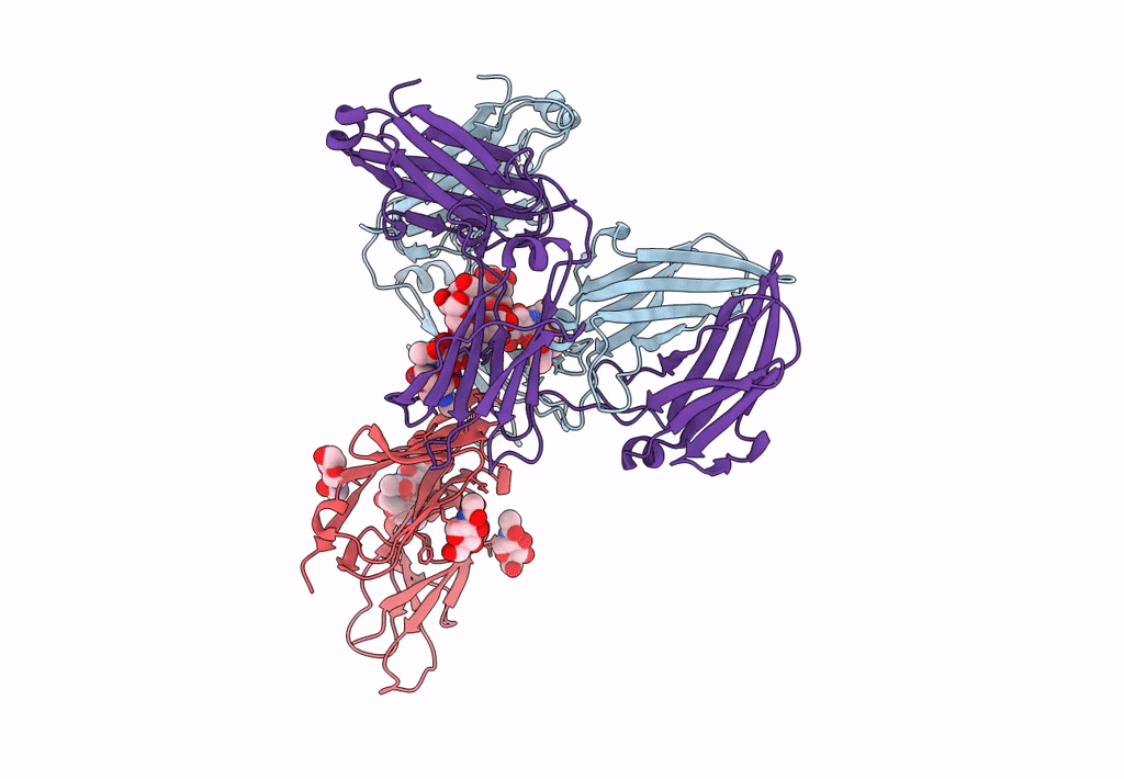 8C1B image