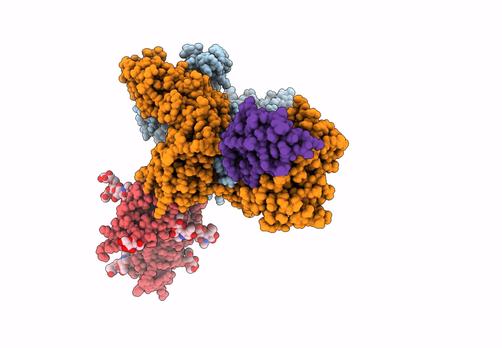 8C1C image
