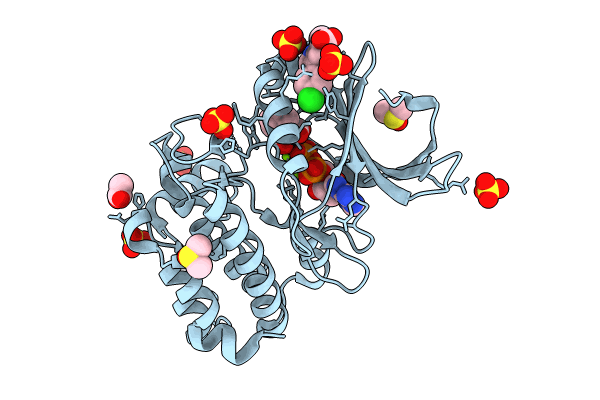 8C1D image