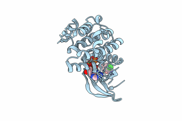 8C1E image