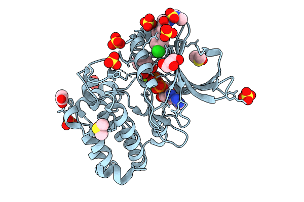 8C1G image