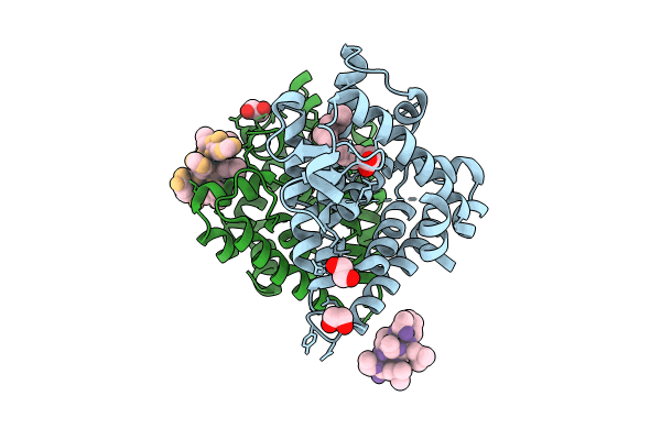 8C1L image