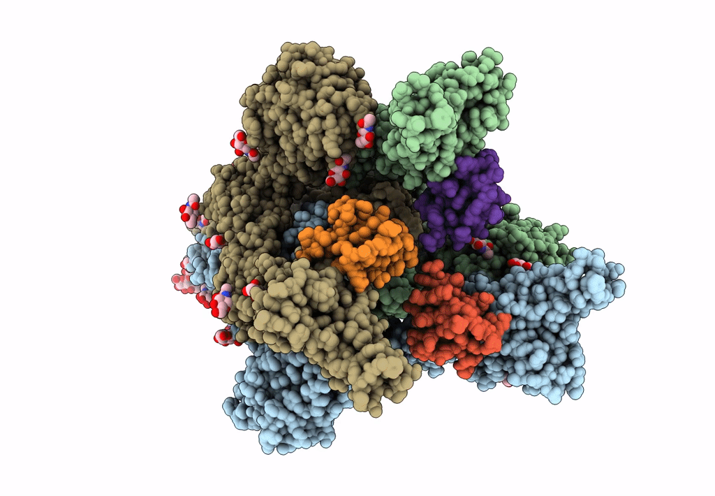 8C1V image