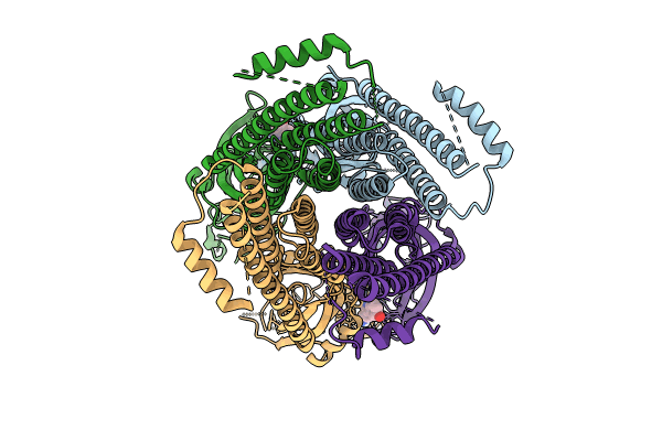 8C20 image