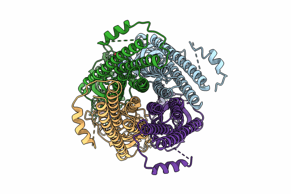 8C21 image